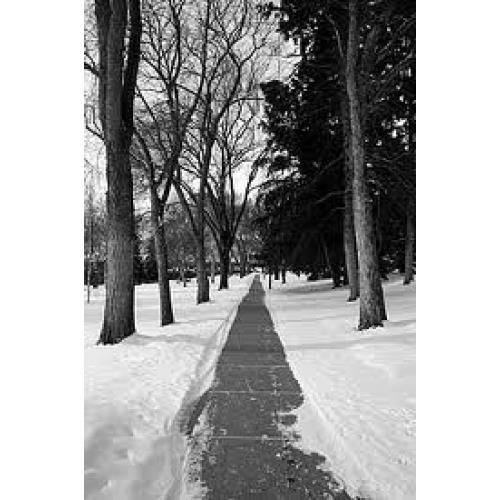 A121 High Activity Ice Melt Picture